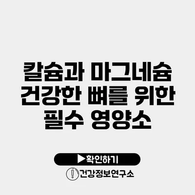 칼슘과 마그네슘 건강한 뼈를 위한 필수 영양소