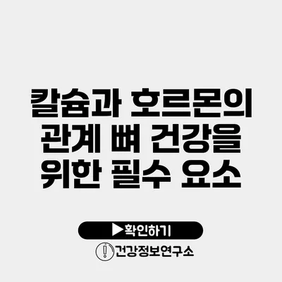 칼슘과 호르몬의 관계 뼈 건강을 위한 필수 요소