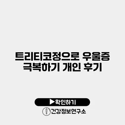 트리티코정으로 우울증 극복하기 개인 후기