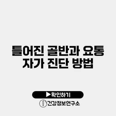 틀어진 골반과 요통 자가 진단 방법