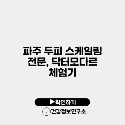 파주 두피 스케일링 전문, 닥터모다르 체험기