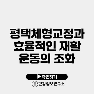 평택체형교정과 효율적인 재활 운동의 조화