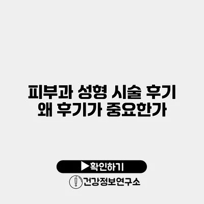피부과 성형 시술 후기 왜 후기가 중요한가?