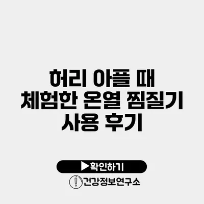 허리 아플 때 체험한 온열 찜질기 사용 후기