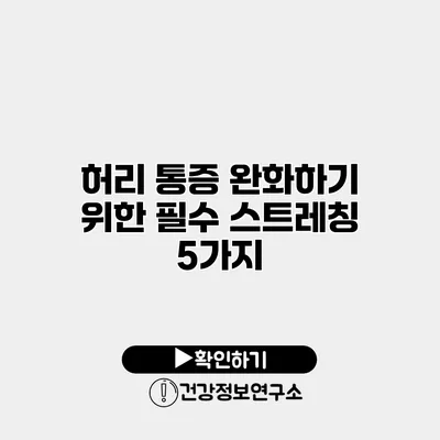 허리 통증 완화하기 위한 필수 스트레칭 5가지