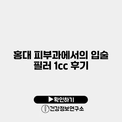 홍대 피부과에서의 입술 필러 1cc 후기