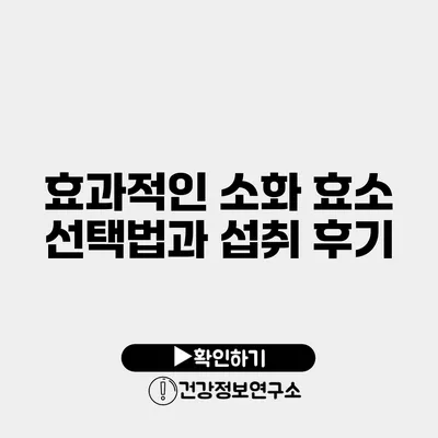 효과적인 소화 효소 선택법과 섭취 후기