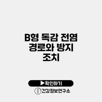 B형 독감 전염 경로와 방지 조치