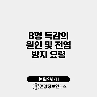 B형 독감의 원인 및 전염 방지 요령