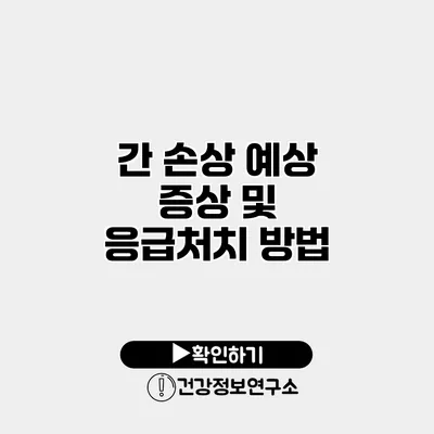 간 손상 예상 증상 및 응급처치 방법