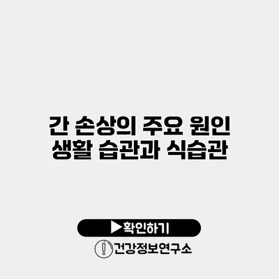 간 손상의 주요 원인 생활 습관과 식습관