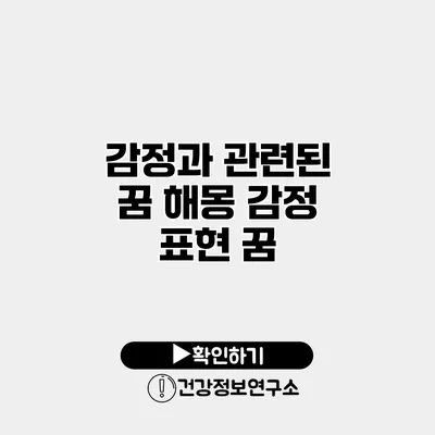 감정과 관련된 꿈 해몽 감정 표현 꿈