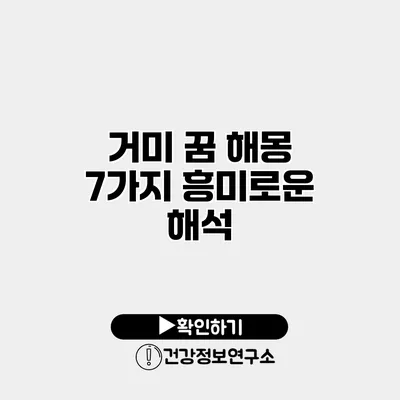 거미 꿈 해몽 7가지 흥미로운 해석