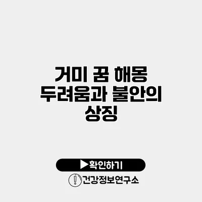 거미 꿈 해몽 두려움과 불안의 상징