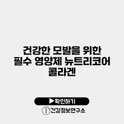 건강한 모발을 위한 필수 영양제 뉴트리코어 콜라겐