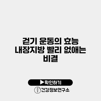 걷기 운동의 효능 내장지방 빨리 없애는 비결