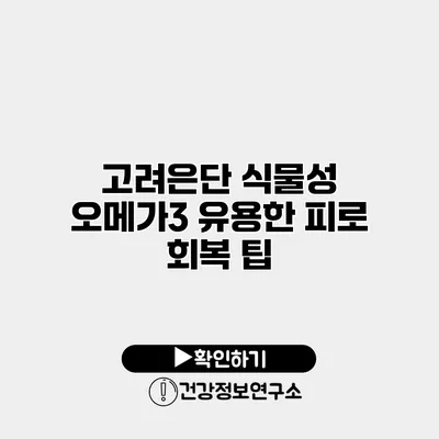 고려은단 식물성 오메가3 유용한 피로 회복 팁