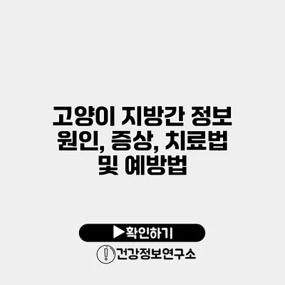 고양이 지방간 정보 원인, 증상, 치료법 및 예방법