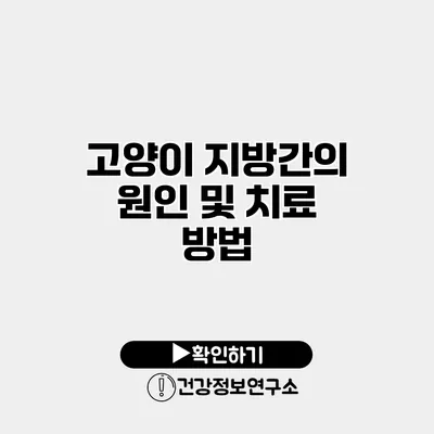 고양이 지방간의 원인 및 치료 방법