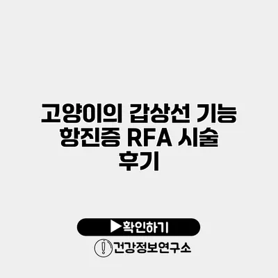 고양이의 갑상선 기능 항진증 RFA 시술 후기