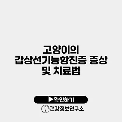 고양이의 갑상선기능항진증 증상 및 치료법