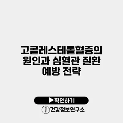 고콜레스테롤혈증의 원인과 심혈관 질환 예방 전략