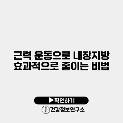 근력 운동으로 내장지방 효과적으로 줄이는 비법