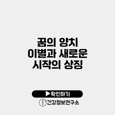 꿈의 양치 이별과 새로운 시작의 상징