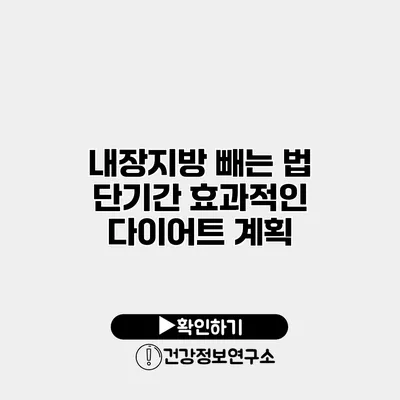 내장지방 빼는 법 단기간 효과적인 다이어트 계획
