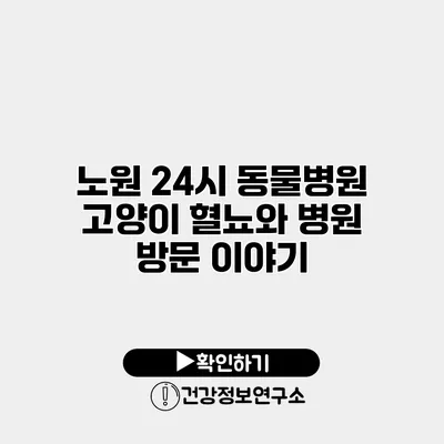 노원 24시 동물병원 고양이 혈뇨와 병원 방문 이야기