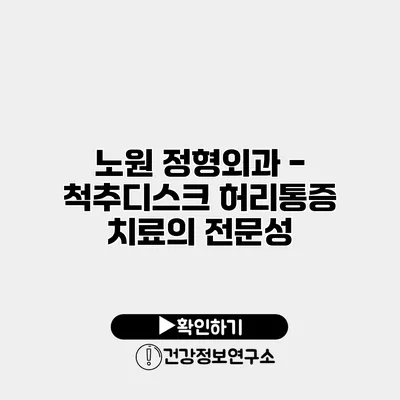 노원 정형외과 - 척추디스크 허리통증 치료의 전문성