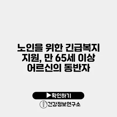 노인을 위한 긴급복지 지원, 만 65세 이상 어르신의 동반자