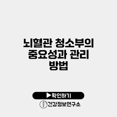 뇌혈관 청소부의 중요성과 관리 방법