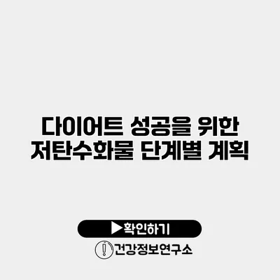 다이어트 성공을 위한 저탄수화물 단계별 계획