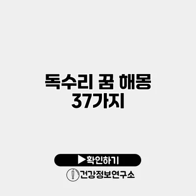 독수리 꿈 해몽 37가지