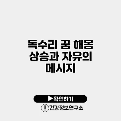 독수리 꿈 해몽 상승과 자유의 메시지
