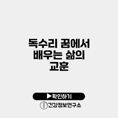 독수리 꿈에서 배우는 삶의 교훈