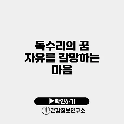 독수리의 꿈 자유를 갈망하는 마음