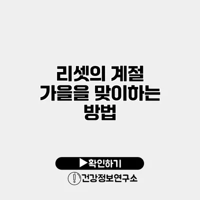 리셋의 계절 가을을 맞이하는 방법