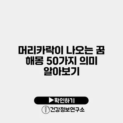 머리카락이 나오는 꿈 해몽 50가지 의미 알아보기