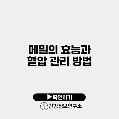 메밀의 효능과 혈압 관리 방법
