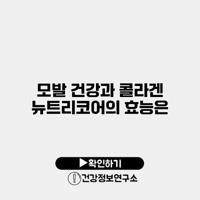 모발 건강과 콜라겐 뉴트리코어의 효능은?