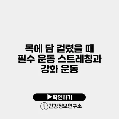 목에 담 걸렸을 때 필수 운동 스트레칭과 강화 운동