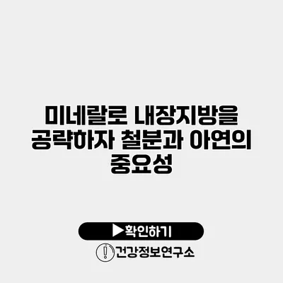 미네랄로 내장지방을 공략하자 철분과 아연의 중요성