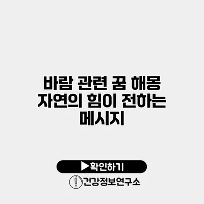 바람 관련 꿈 해몽 자연의 힘이 전하는 메시지