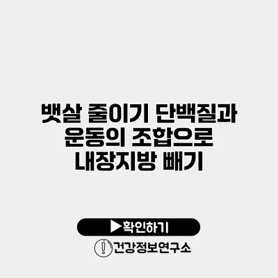 뱃살 줄이기 단백질과 운동의 조합으로 내장지방 빼기