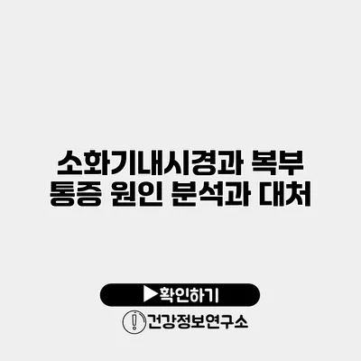 소화기내시경과 복부 통증 원인 분석과 대처