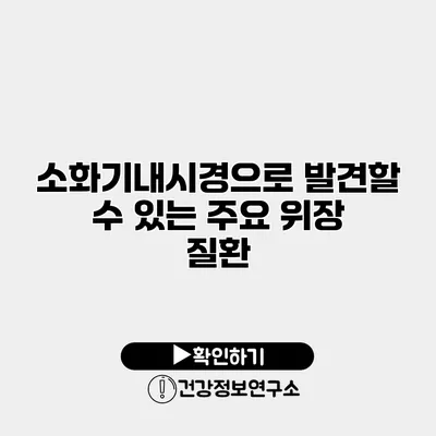 소화기내시경으로 발견할 수 있는 주요 위장 질환