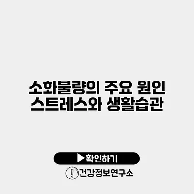 소화불량의 주요 원인 스트레스와 생활습관