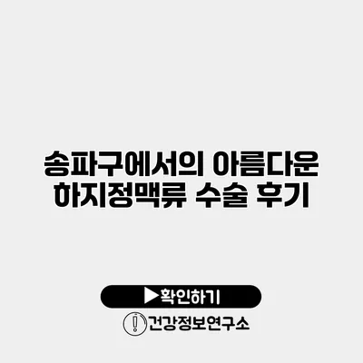 송파구에서의 아름다운 하지정맥류 수술 후기